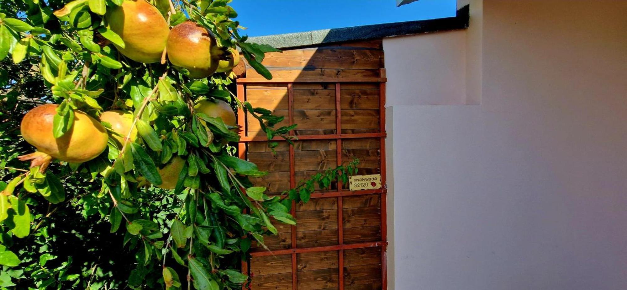 Casa Vacanza Mamaioa SantʼAnna Arresi エクステリア 写真
